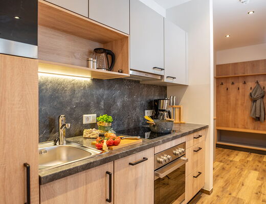 Fully equipped kitchen in the apartment