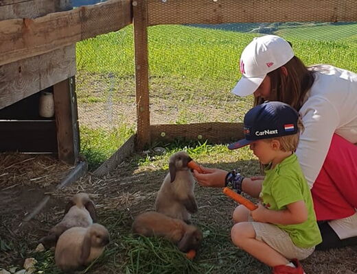 Die Kaninchen im Streichelzoo vom Bauernhof vom 4 Sterne Hotel Moser in Rohrmoos Schladming werden mit Karotten gefüttert