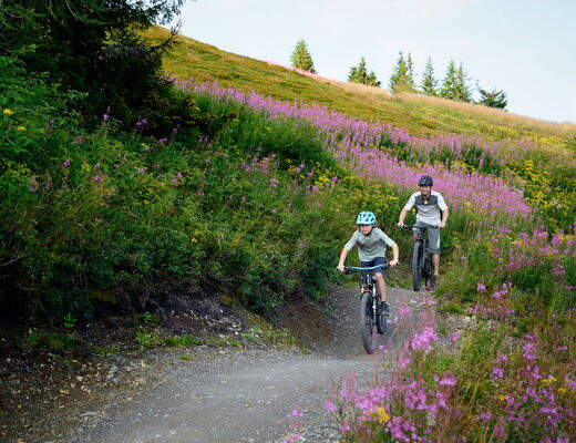 Spaß und Action im Bikepark Schladming - kostenlose Fahrt auf die Planai mit der Bergbahn mit der Schladming-Dachstein Card