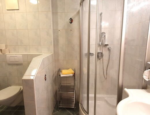 Comfort Double Room with Bathroom at the 4-Star Hotel Moser in Rohrmoos, Schladming