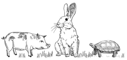 Zeichnung von den Bauernhoftieren vom 4 Sterne Hotel Moser in Rohrmoos Schladming