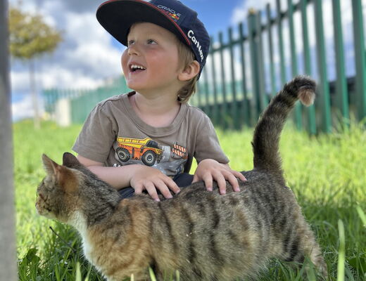 Junge streichelt eine Katze in der grünen Wiese vom Bauernhof vom 4 Sterne Hotel Moser in Rohrmoos Schladming